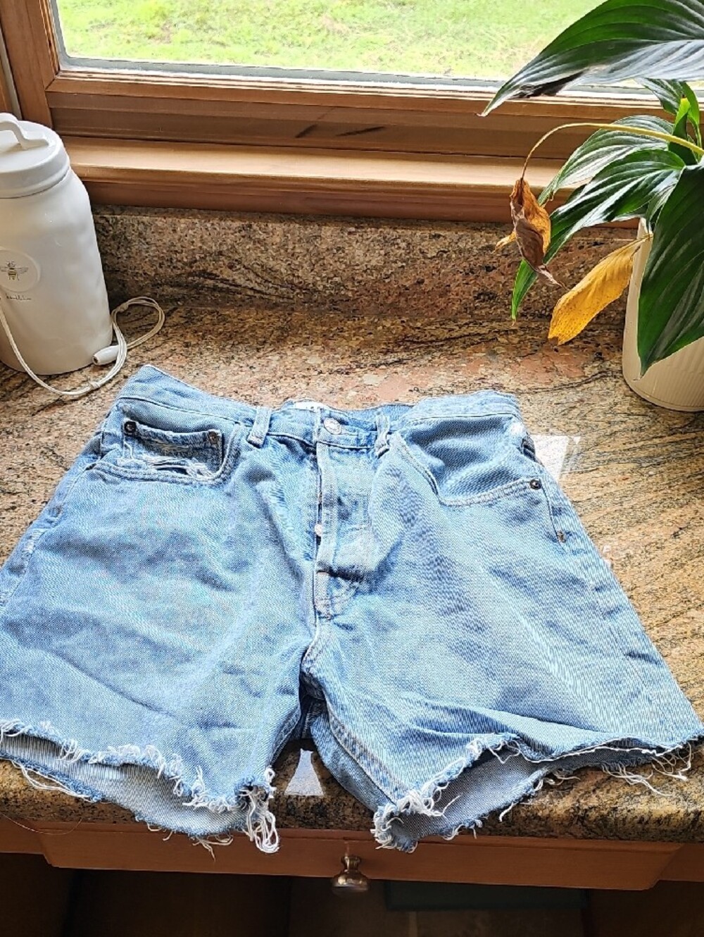 Agolde Riley Shorts Nwot - Picture 2 of 6